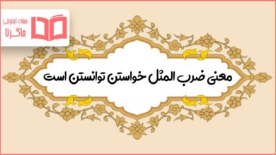 معنی ضرب المثل خواستن توانستن است