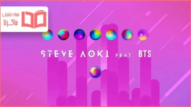 متن و ترجمه آهنگ Waste It On Me از Steve Aoki و BTS