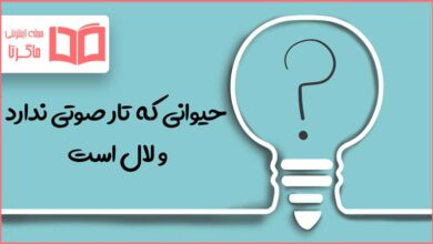 حیوانی که تار صوتی ندارد و لال است