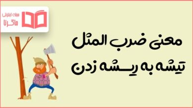 معنی ضرب المثل تیشه به ریشه زدن