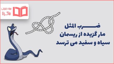 معنی ضرب المثل مار گزیده از ریسمان سیاه و سفید می ترسد