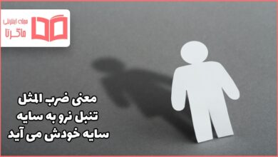 معنی ضرب المثل تنبل نرو به سایه سایه خودش می آید