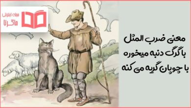 معنی ضرب المثل با گرگ دنبه میخوره با چوپان گریه می کنه