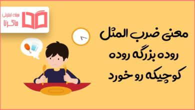 معنی ضرب المثل روده بزرگه روده کوچیکه رو خورد