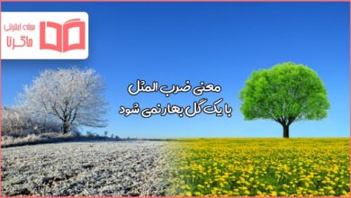 معنی ضرب المثل با یک گل بهار نمی شود