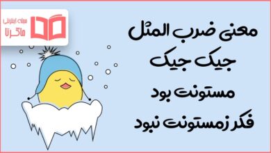 معنی ضرب المثل جیک جیک مستونت بود فکر زمستونت نبود