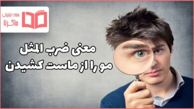 معنی ضرب المثل مو را از ماست کشیدن