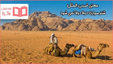 معنی ضرب المثل شتر سواری دولا دولا نمی شود