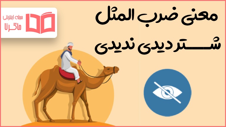 معنی ضرب المثل شتر دیدی ندیدی