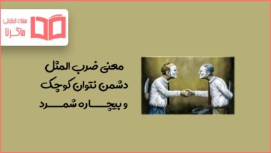 معنی ضرب المثل دشمن نتوان کوچک و بیچاره شمرد