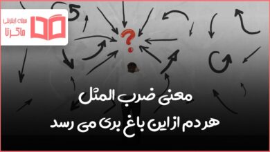 هر دم از این باغ بری می رسد یعنی چه