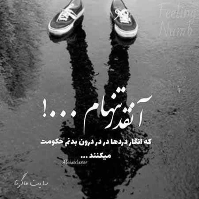 پروفایل تنهایی را دوست دارم