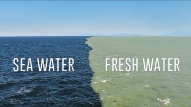 اصول تصفیه آب