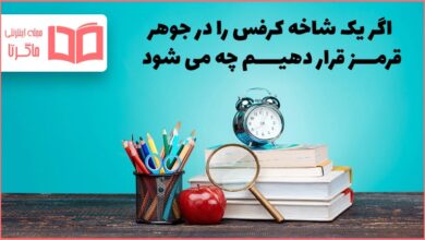 اگر یک شاخه کرفس را در جوهر قرمز قرار دهیم چه می شود چرا