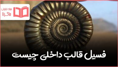 فسیل قالب داخلی چیست علوم نهم