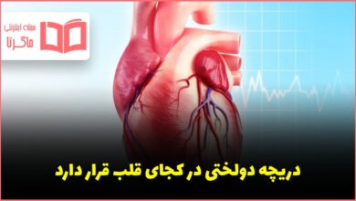 دریچه دولختی در کجای قلب قرار دارد علوم هفتم