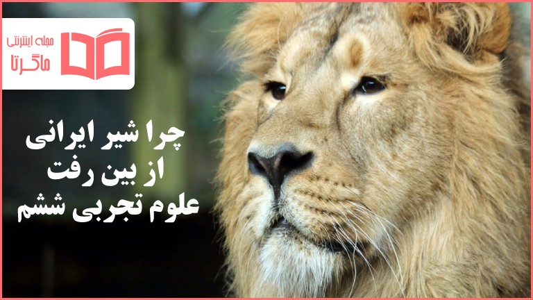 چرا شیر ایرانی از بین رفت علوم ششم