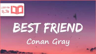 متن و ترجمه آهنگ Best Friend از Conan Gray