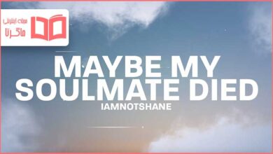 متن و ترجمه آهنگ Maybe My Soulmate Died از iamnotshane