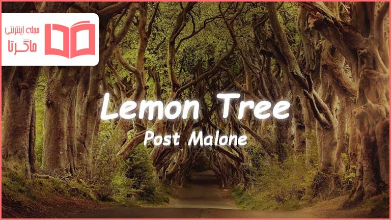 متن و ترجمه آهنگ Lemon Tree از Post Malone