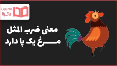 معنی ضرب المثل مرغ یک پا دارد