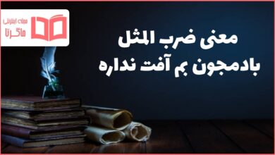 معنی ضرب المثل بادمجون بم آفت نداره