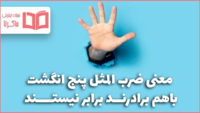 معنی ضرب المثل پنج انگشت باهم برادرند برابر نیستند