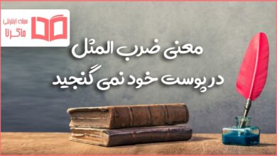 معنی ضرب المثل در پوست خود نمی گنجید