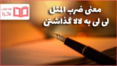 معنی ضرب المثل لی لی به لالا گذاشتن