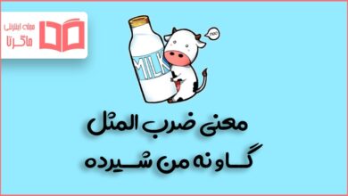 معنی ضرب المثل گاو نه من شیرده