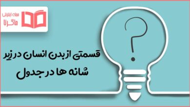 قسمتی از بدن انسان در زیر شانه ها در جدول