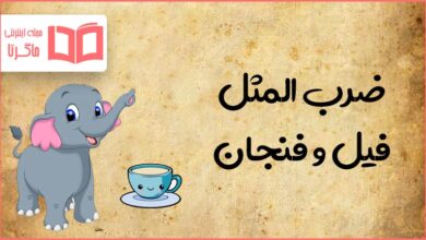 معنی ضرب المثل فیل و فنجان