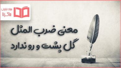معنی ضرب المثل گل پشت و رو ندارد