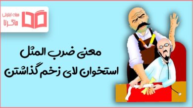 معنی ضرب المثل استخوان لای زخم گذاشتن