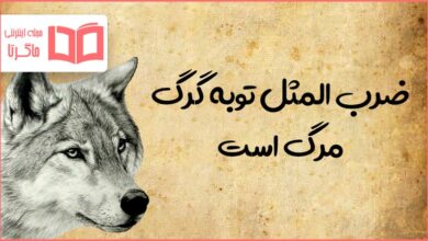 معنی ضرب المثل توبه گرگ مرگ است