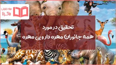 تحقیق در مورد همه جانوران مهره دار و بی مهره‌