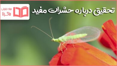 تحقیق درباره حشرات مفید