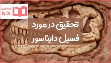 تحقیق درباره فسیل دایناسورها