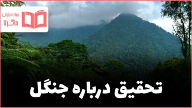 تحقیق درباره جنگل