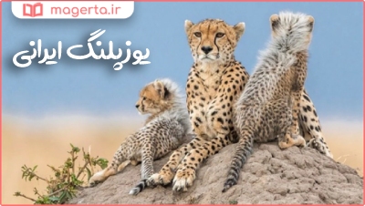 یوز ایرانی از از حیوانات بومی ایران