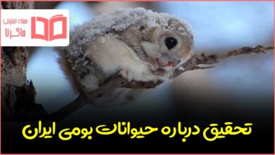 تحقیق حیوانات بومی ایران