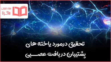 تحقیق درمورد یاخته های پشتیبان در بافت عصبی علوم هشتم