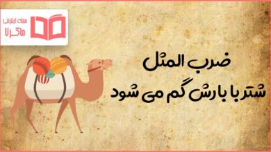 معنی ضرب المثل شتر با بارش گم می شود