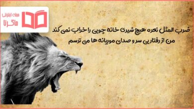 معنی ضرب المثل نعره هیچ شیری خانه چوبی را خراب نمی کند من از رفتار بی سر و صدای موریانه ها می ترسم