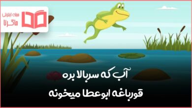 معنی ضرب المثل آب که سربالا بره قورباغه ابوعطا میخونه