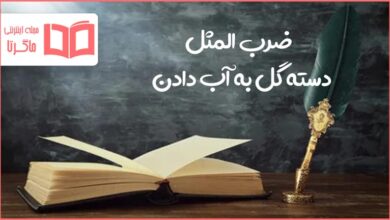 معنی ضرب المثل دسته گل به آب دادن