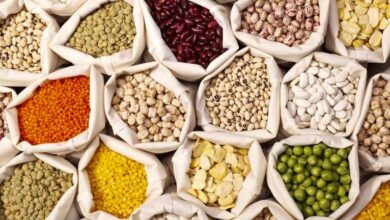 مهمترین نکات خرید حبوبات با کیفیت چیست