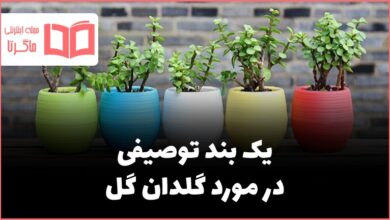 یک بند توصیفی در مورد گلدان گل کلاس چهارم