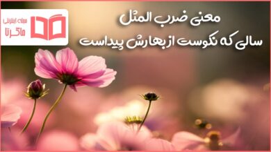 معنی ضرب المثل سالی که نکوست از بهارش پیداست