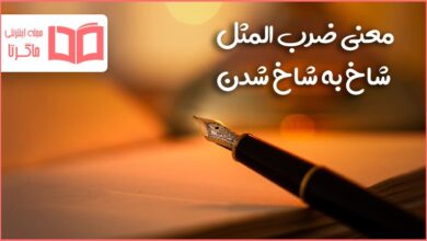 معنی ضرب المثل شاخ به شاخ شدن